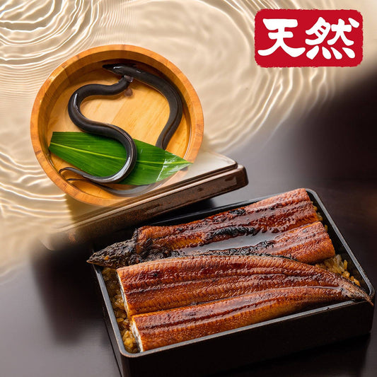 土佐の清流 天然うなぎ 長蒲焼き ＜匹数：1~3尾 量：110~480g＞ 【土佐黒潮水産】公式オンラインショップ 黒潮水産