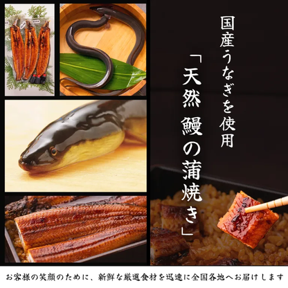 天然うなぎ 長蒲焼きセット ＜匹数：1~3尾　量：110~480g＞